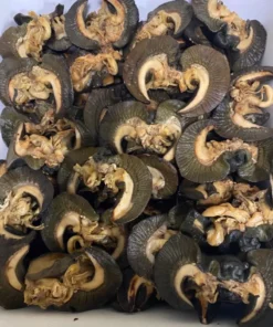Dry Nigerian Snail Egbin