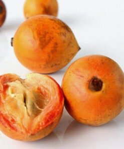 nigerian agbalumo